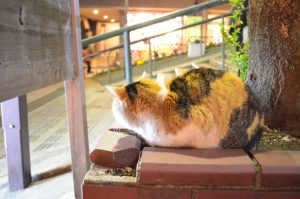 出張マッサージ日暮里