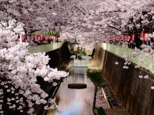 出張マッサージ高井戸