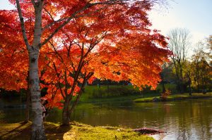 出張マッサージ学芸大学